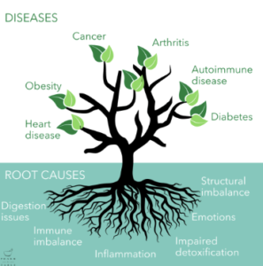 “Naturopath using personalised testing to create holistic wellness plans for clients.”