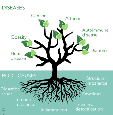 “Naturopath using personalised testing to create holistic wellness plans for clients.”