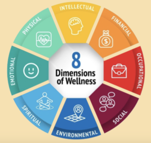 Naturopath using personalised testing to create holistic wellness plans for clients.”